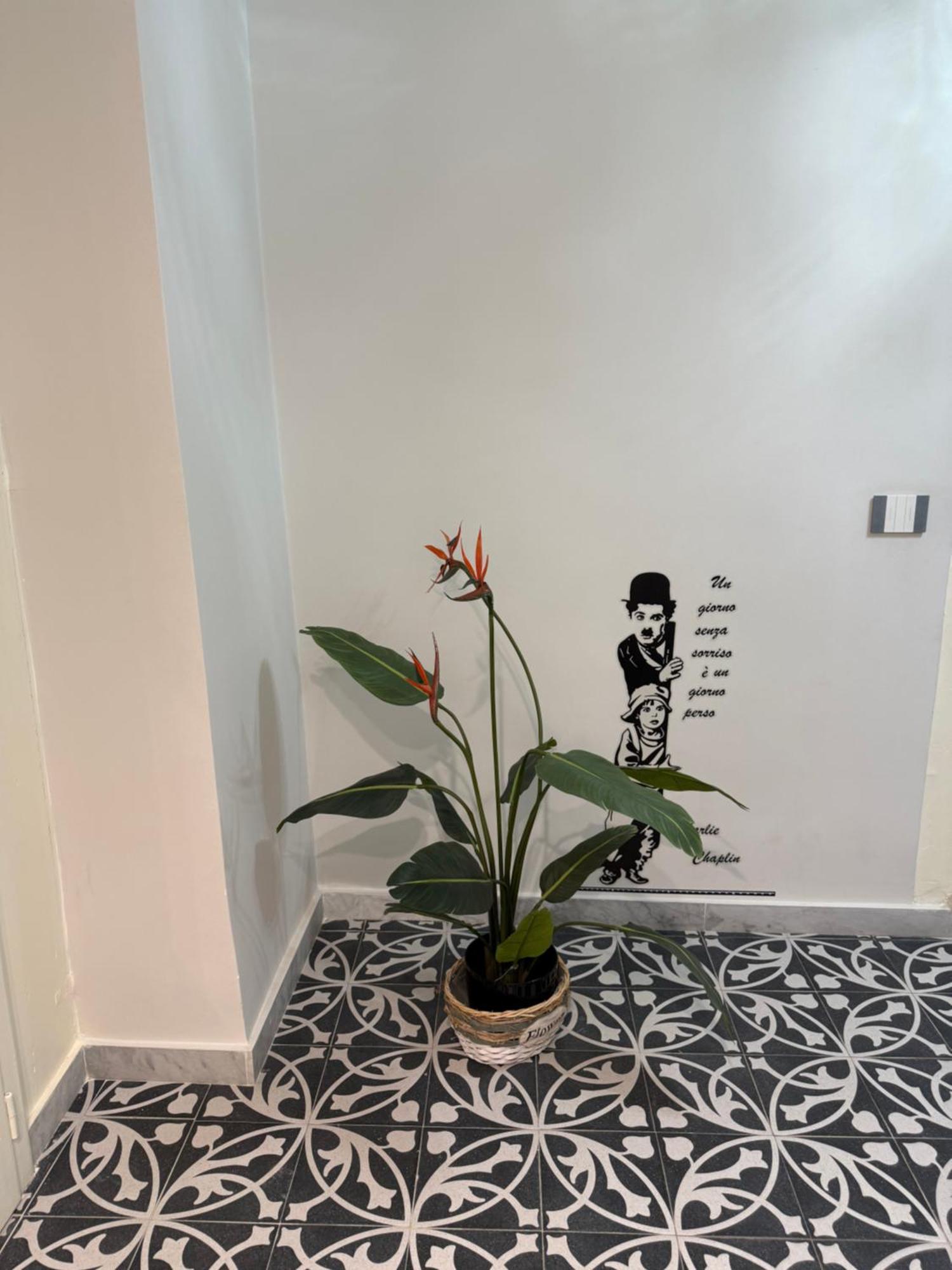 Elisir House Βίλα Παλέρμο Εξωτερικό φωτογραφία